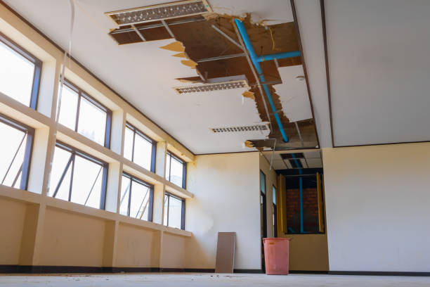 Best Water damage cleanup near me  in Leisure Village West, NJ