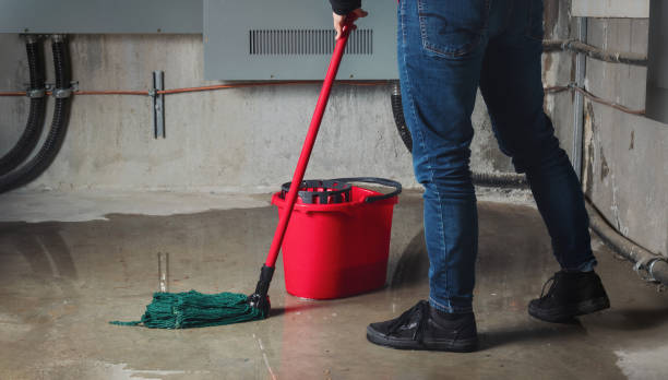 Best 24/7 water damage repair  in Leisure Village West, NJ